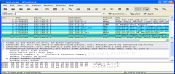 Wireshark screenshots.